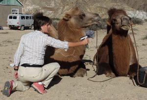 Saar interviewt haar kameel
