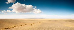 Gobi desert